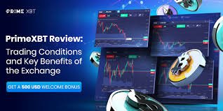PrimeXBT Online Platform A Comprehensive Guide to Crypto Trading