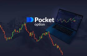 Understanding the Pocket Option App A Comprehensive Guide