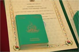 How to Buy a Vanuatu Passport A Comprehensive Guide 893037690